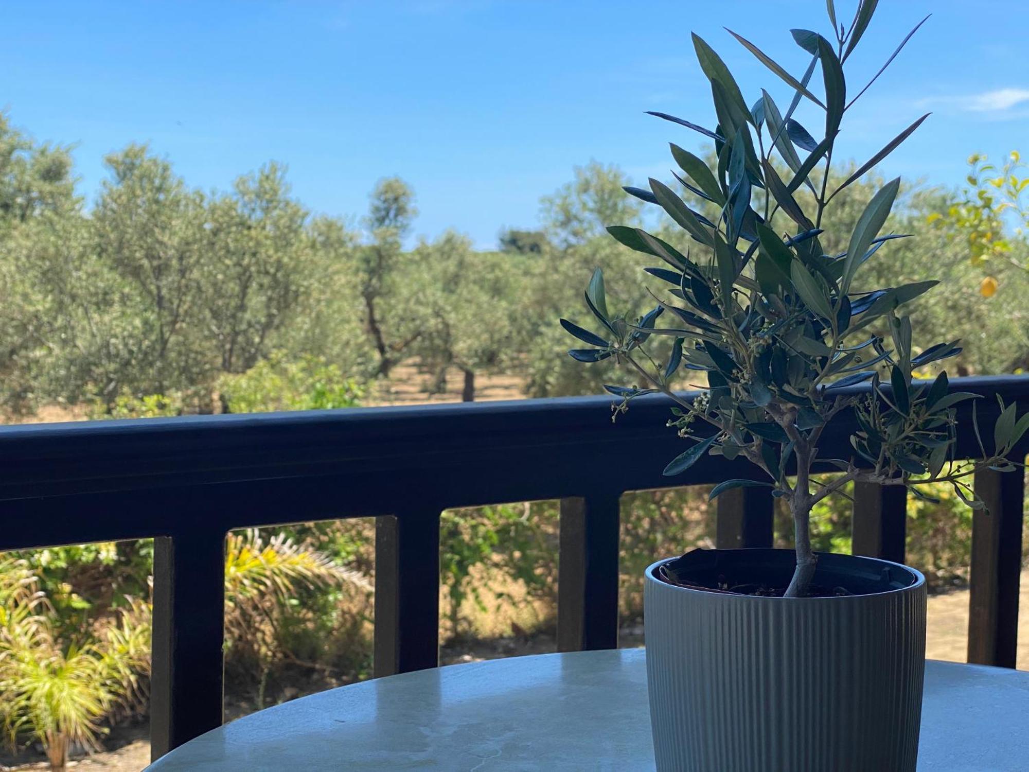 Clelia Appartement